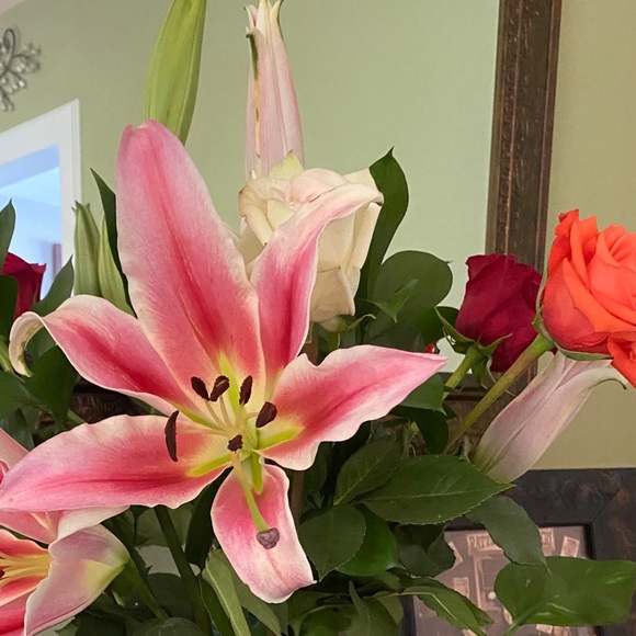 Meet your Posher, - Picture 1 of 1